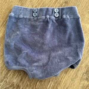 Kate Quinn high waist organic cotton velour bloomer